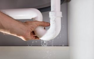 siphon évier